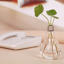 Vaso Hidropônico em Formato de Lâmpada Decorativa – Cultive Plantas com Estilo