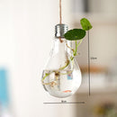 Vaso Hidropônico em Formato de Lâmpada Decorativa – Cultive Plantas com Estilo