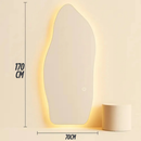 Espelho Lopazzi Orgânico Com Led 170cm x 70cm Corpo Inteiro Grande Quarto Sala Banheiro Grande Moderno Luxo